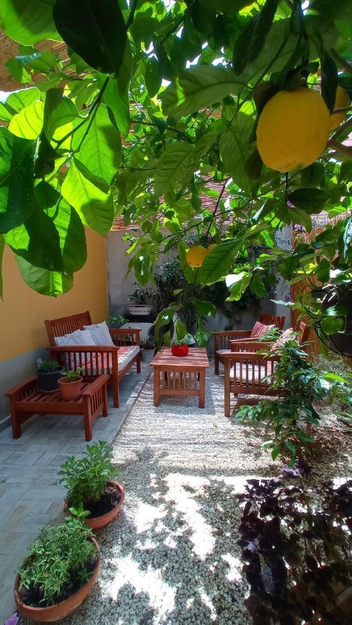 Green House Авола Экстерьер фото
